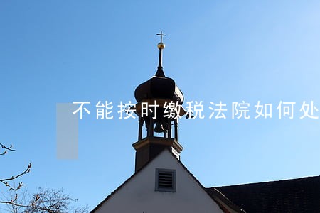 不能按时缴税法院如何处理