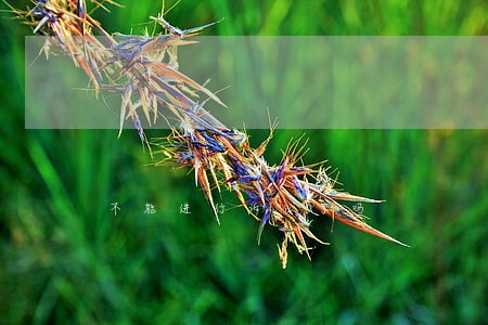 不能进行诉讼了吗