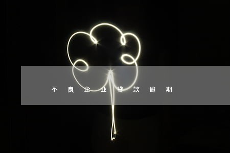 不良企业贷款逾期 不良企业贷款逾期