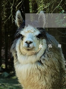 不良信用逾期怎么办 不良信用逾期怎么办