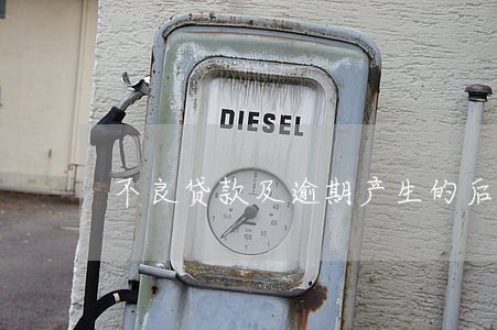 不良贷款及逾期产生的后果 不良贷款及逾期产生的后果