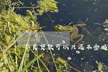 不良贷款可以只还本金吗 不良贷款可以只还本金吗