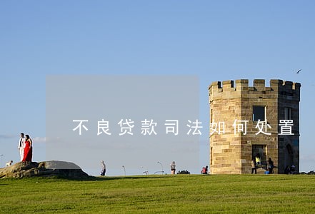 不良贷款司法如何处置 不良贷款司法如何处置