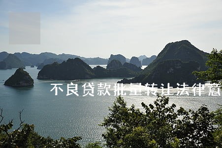不良贷款批量转让法律意见书 不良贷款批量转让法律意见书
