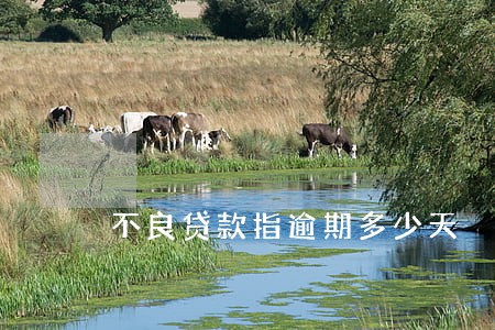 不良贷款指逾期多少天 不良贷款指逾期多少天