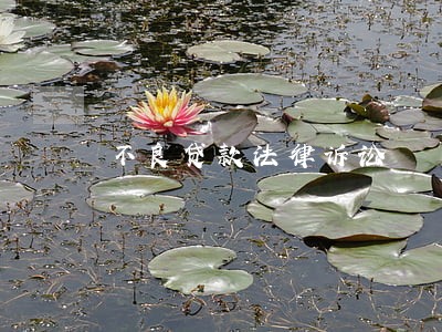 不良贷款法律诉讼 不良贷款法律诉讼