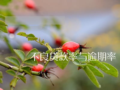 不良贷款率与逾期率 不良贷款率与逾期率