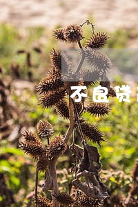 不良贷款诉讼审计要点