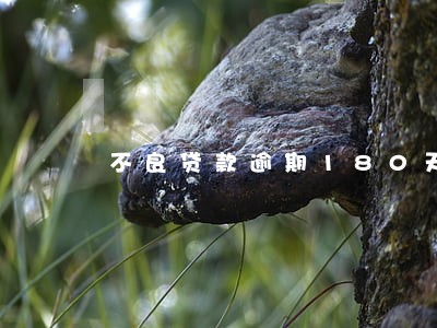 不良贷款逾期180天 不良贷款逾期180天