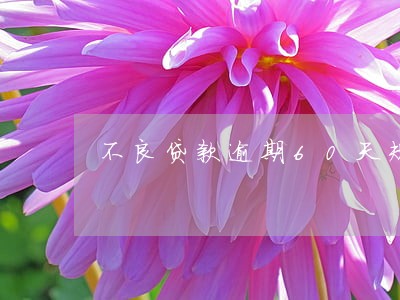 不良贷款逾期60天规定 不良贷款逾期60天规定