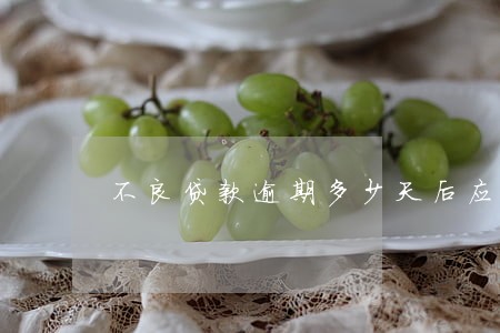 不良贷款逾期多少天后应起诉 不良贷款逾期多少天后应起诉