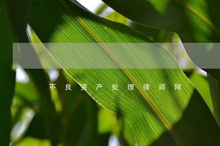 不良资产处理律师网 不良资产处理律师网