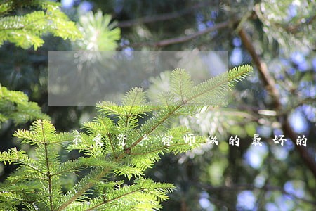 不良资产律师做的最好的 不良资产律师做的最好的