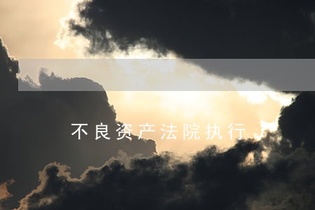 不良资产法院执行 不良资产法院执行