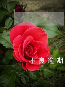不良逾期90天以上 不良逾期90天以上