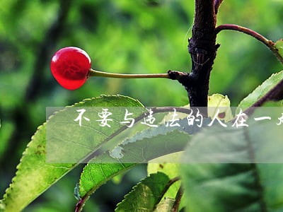 不要与违法的人在一起 不要与违法的人在一起