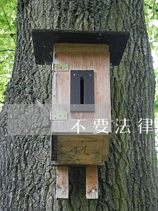 不要法律那两门 不要法律那两门