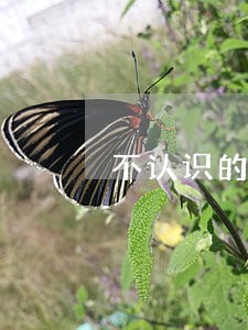 不认识的号发信息说网贷逾期了 不认识的号发信息说网贷逾期了