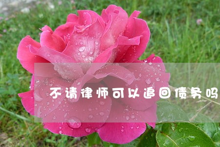 不请律师可以追回债务吗 不请律师可以追回债务吗