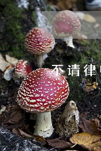 不请律师怎么起诉离婚 不请律师怎么起诉离婚