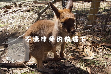 不请律师的前提下 不请律师的前提下