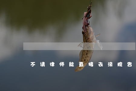 不请律师能直接去法院告人吗 不请律师能直接去法院告人吗