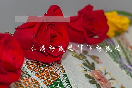 不请能赢吗律师能赢吗 不请能赢吗律师能赢吗