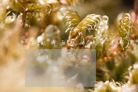 不起诉后取保候审还有用吗 不起诉后取保候审还有用吗