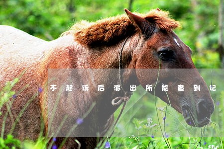 不起诉后派出所能查到记录吗 不起诉后派出所能查到记录吗