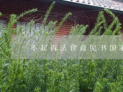 不起诉法律意见书国家赔偿 不起诉法律意见书国家赔偿