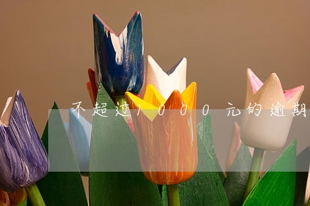 不超过1000元的逾期 不超过1000元的逾期