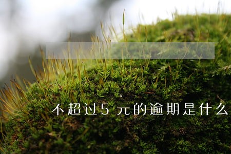 不超过5元的逾期是什么意思 不超过5元的逾期是什么意思