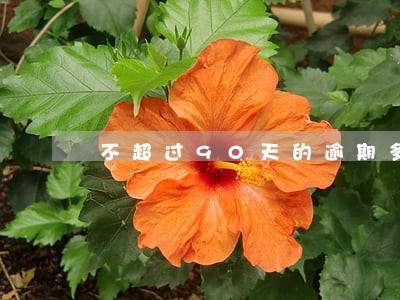不超过90天的逾期多久可以消除 不超过90天的逾期多久可以消除