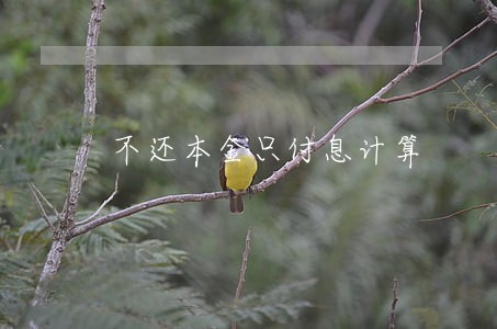 不还本金只付息计算 不还本金只付息计算