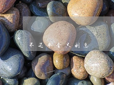 不还本金只利息 不还本金只利息