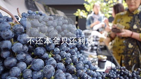 不还本金只还利息 不还本金只还利息