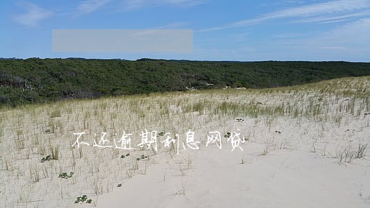 不还逾期利息网贷 不还逾期利息网贷