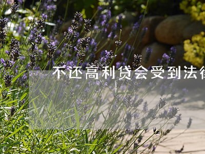 不还高利贷会受到法律制裁吗 不还高利贷会受到法律制裁吗