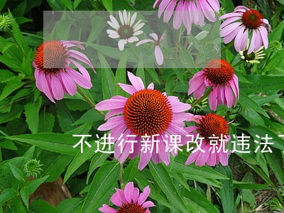 不进行新课改就违法了 不进行新课改就违法了