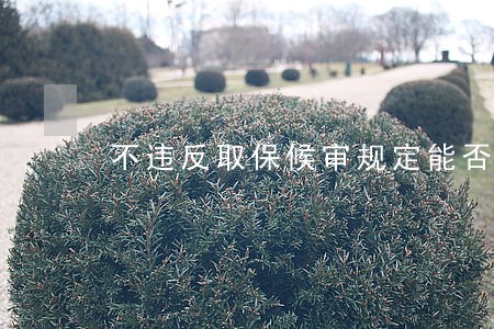 不违反取保候审规定能否逮捕 不违反取保候审规定能否逮捕