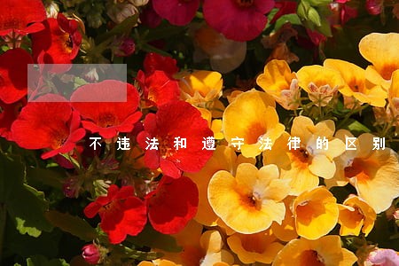 不违法和遵守法律的区别 不违法和遵守法律的区别