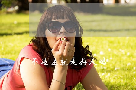 不违法就是好人吗 不违法就是好人吗