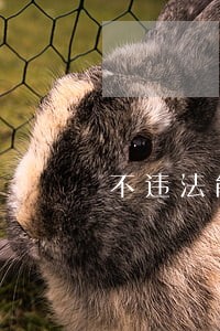 不违法能赚到钱就是厉害的 不违法能赚到钱就是厉害的