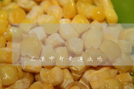 不退中介费违法吗 不退中介费违法吗