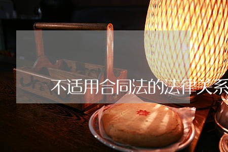 不适用合同法的法律关系 不适用合同法的法律关系