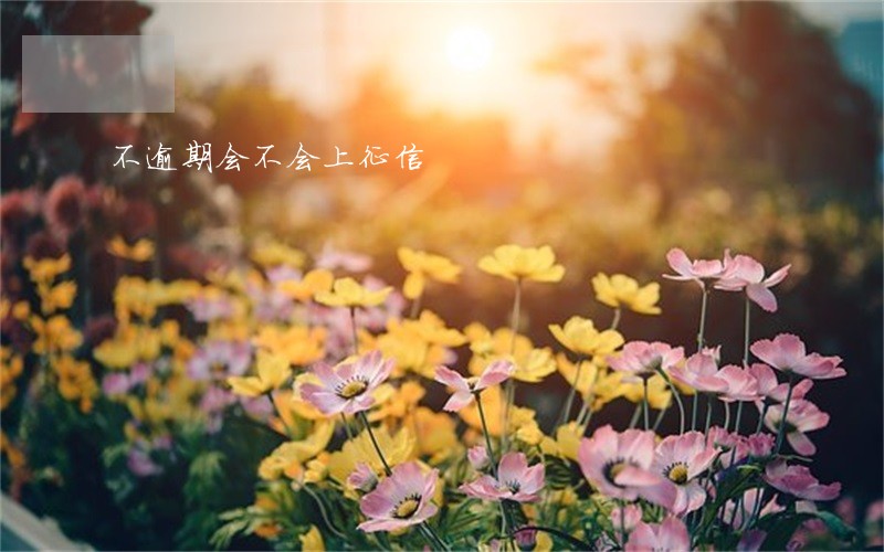 不逾期会不会上征信 不逾期会不会上征信