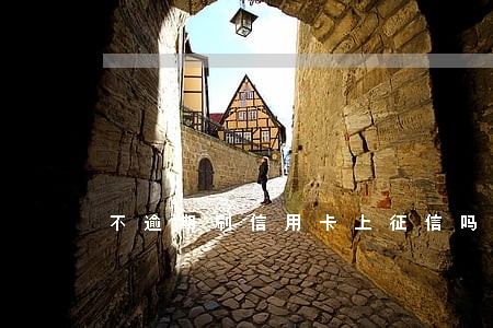 不逾期刷信用卡上征信吗 不逾期刷信用卡上征信吗