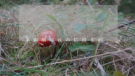 不逾期可以办信用卡吗