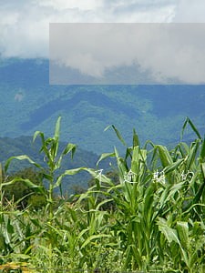 不逾期的信用卡算利息吗 不逾期的信用卡算利息吗