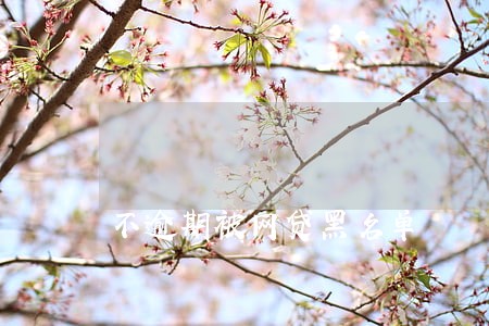 不逾期被网贷黑名单 不逾期被网贷黑名单